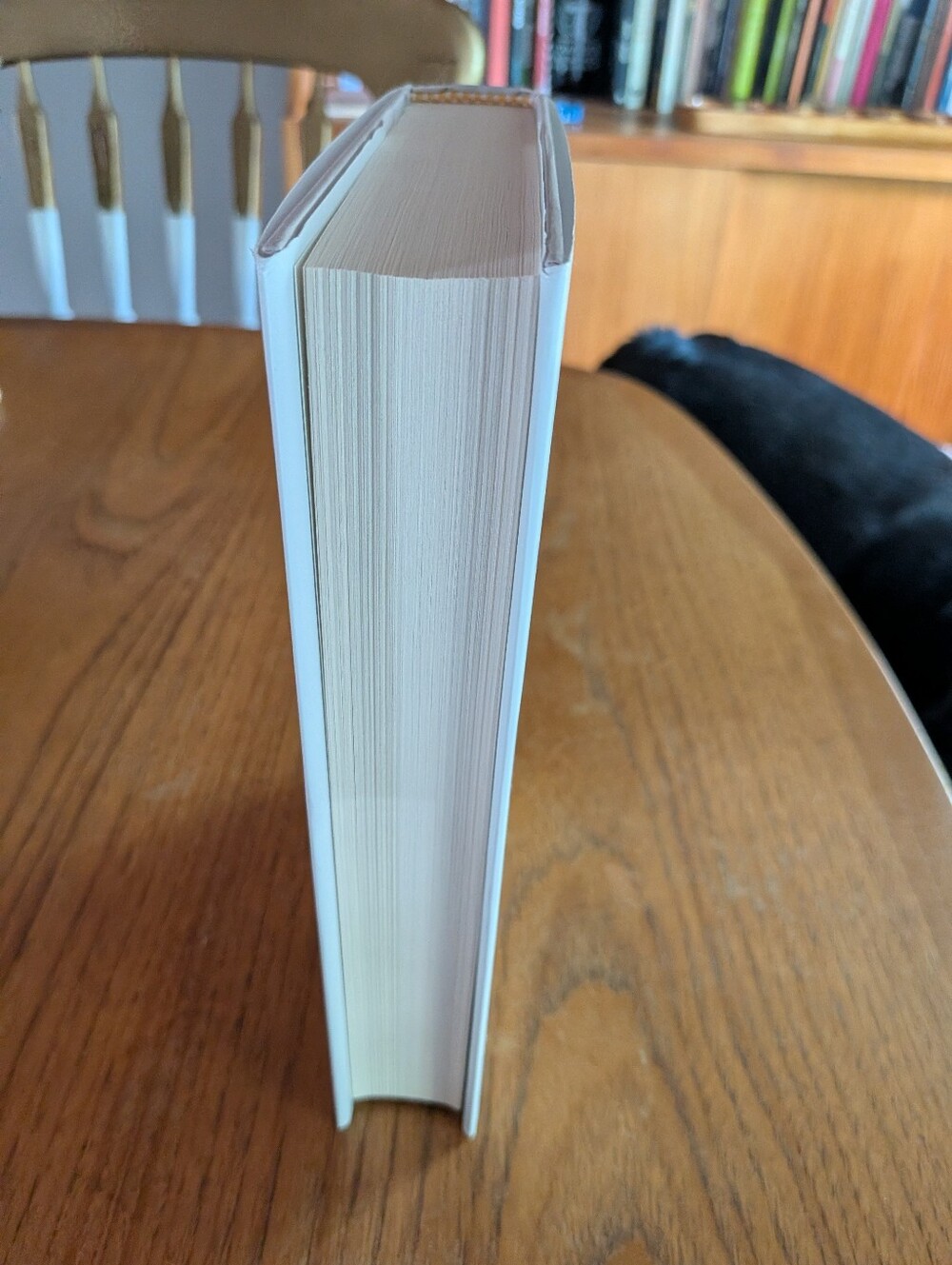 Humankind Book - Picture 5 of 5